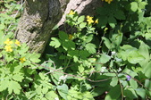 Enlarge photo 886