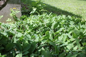 Enlarge photo 888