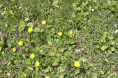 Enlarge photo 889