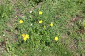 Enlarge photo 890