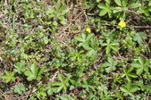 Enlarge photo 891