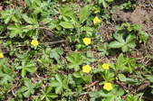 Enlarge photo 892