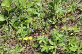 Enlarge photo 893