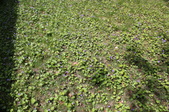 Enlarge photo 898