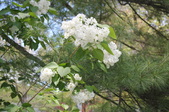 Enlarge photo 902