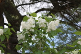 Enlarge photo 903