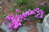 Enlarge photo 905