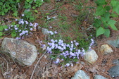 Enlarge photo 906