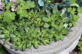 Enlarge photo 910
