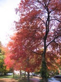 Enlarge photo 221