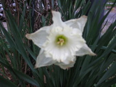 Enlarge photo 223