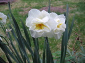 Enlarge photo 225
