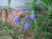 Enlarge photo 226
