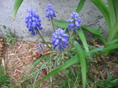 Enlarge photo 227