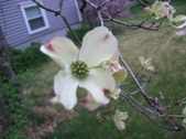 Enlarge photo 228