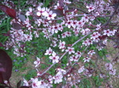 Enlarge photo 229