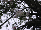 Enlarge photo 232