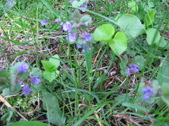 Enlarge photo 234