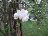 Enlarge photo 240