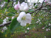 Enlarge photo 241