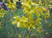 Enlarge photo 242