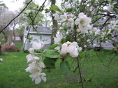Enlarge photo 243