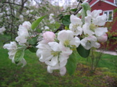 Enlarge photo 244