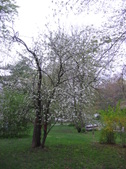 Enlarge photo 245