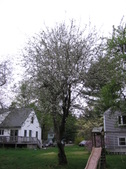 Enlarge photo 246