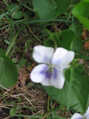 Enlarge photo 249
