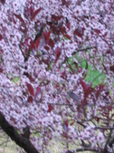 Enlarge photo 251