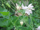 Enlarge photo 253