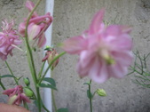 Enlarge photo 254