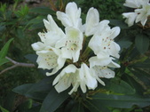 Enlarge photo 260