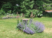 Enlarge photo 264