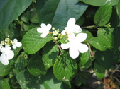 Enlarge photo 269