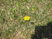 Enlarge photo 274