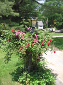 Enlarge photo 279