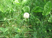 Enlarge photo 280
