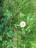 Enlarge photo 281