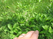 Enlarge photo 282