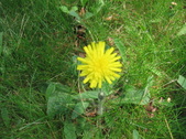 Enlarge photo 284