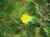 Enlarge photo 285