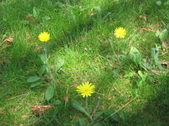 Enlarge photo 286