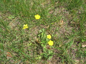 Enlarge photo 288