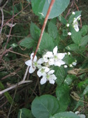 Enlarge photo 291