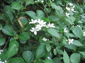 Enlarge photo 292