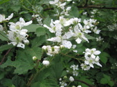 Enlarge photo 293