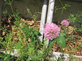 Enlarge photo 297