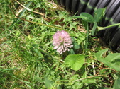 Enlarge photo 298